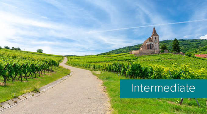 Alsace-vineyard.jpg (1)