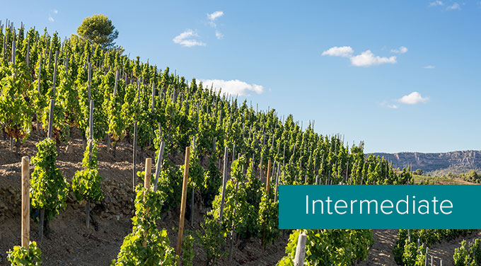 Priorat-tasting-level.jpg
